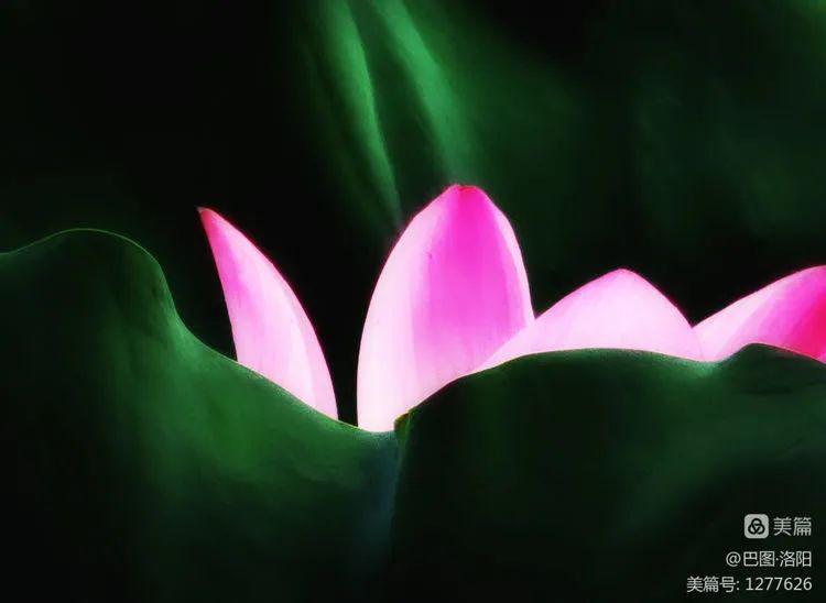 网易新闻客户端5.6.1网易新闻免费下载安装到桌面