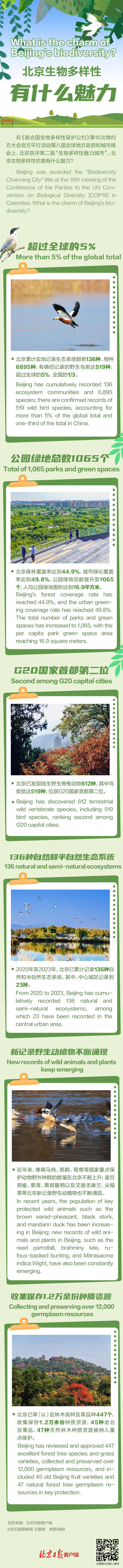 北京至到客户端北京单位社保费管理客户端-第2张图片-太平洋在线下载