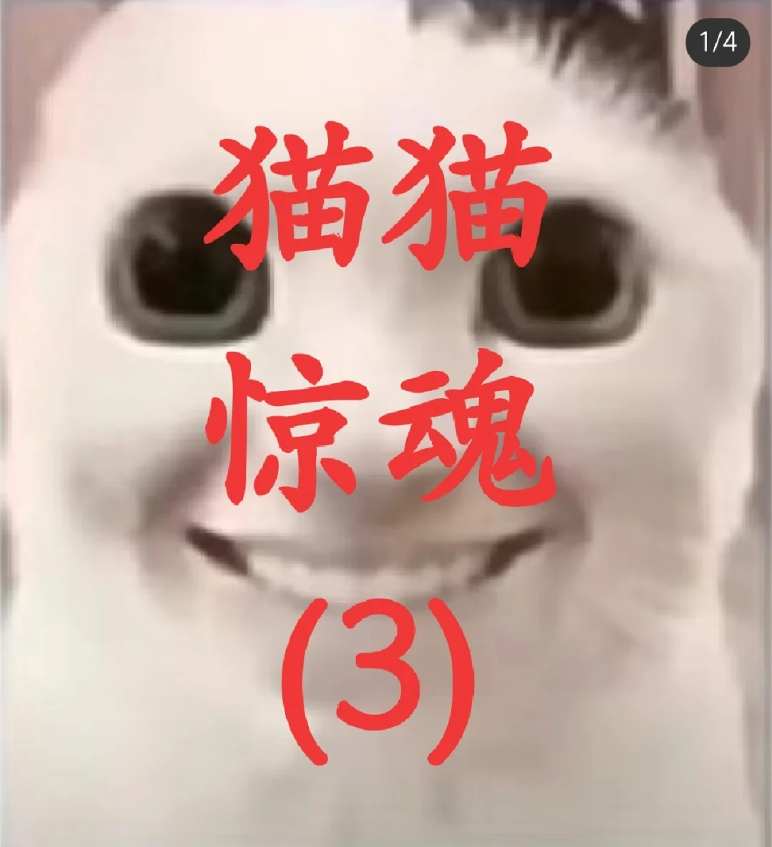猫猫惊魂下载苹果版恐怖奶奶客人模组苹果版下载-第2张图片-太平洋在线下载