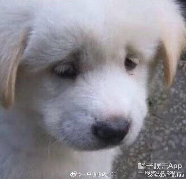 深宫回忆破解版安卓下载深宫曲老版本破解版-第15张图片-太平洋在线下载 深宫回忆破解版安卓下载深宫曲老版本破解版-第15张图片-太平洋在线下载